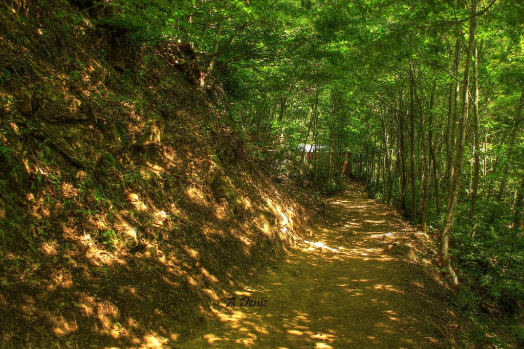 Hayat Yolu