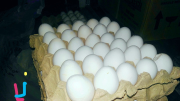 Beauty in pattern.....