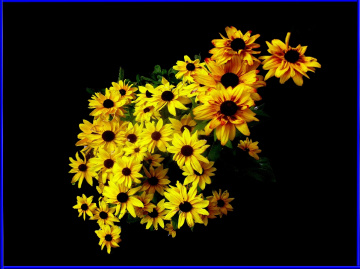 BLÜTEN