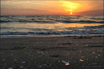 Günaydın - Good Morning...