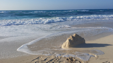 Egypt - North Coast                              