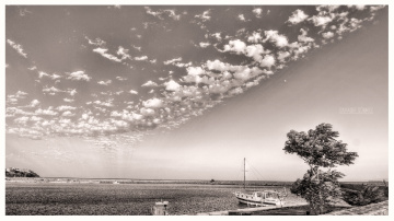 Tekirdağ.