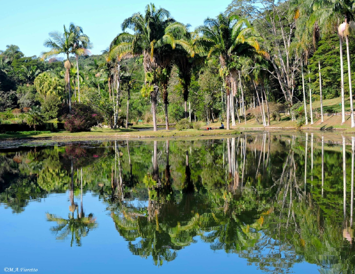 Natural mirror
