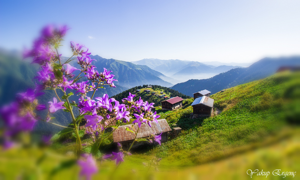 POKUT