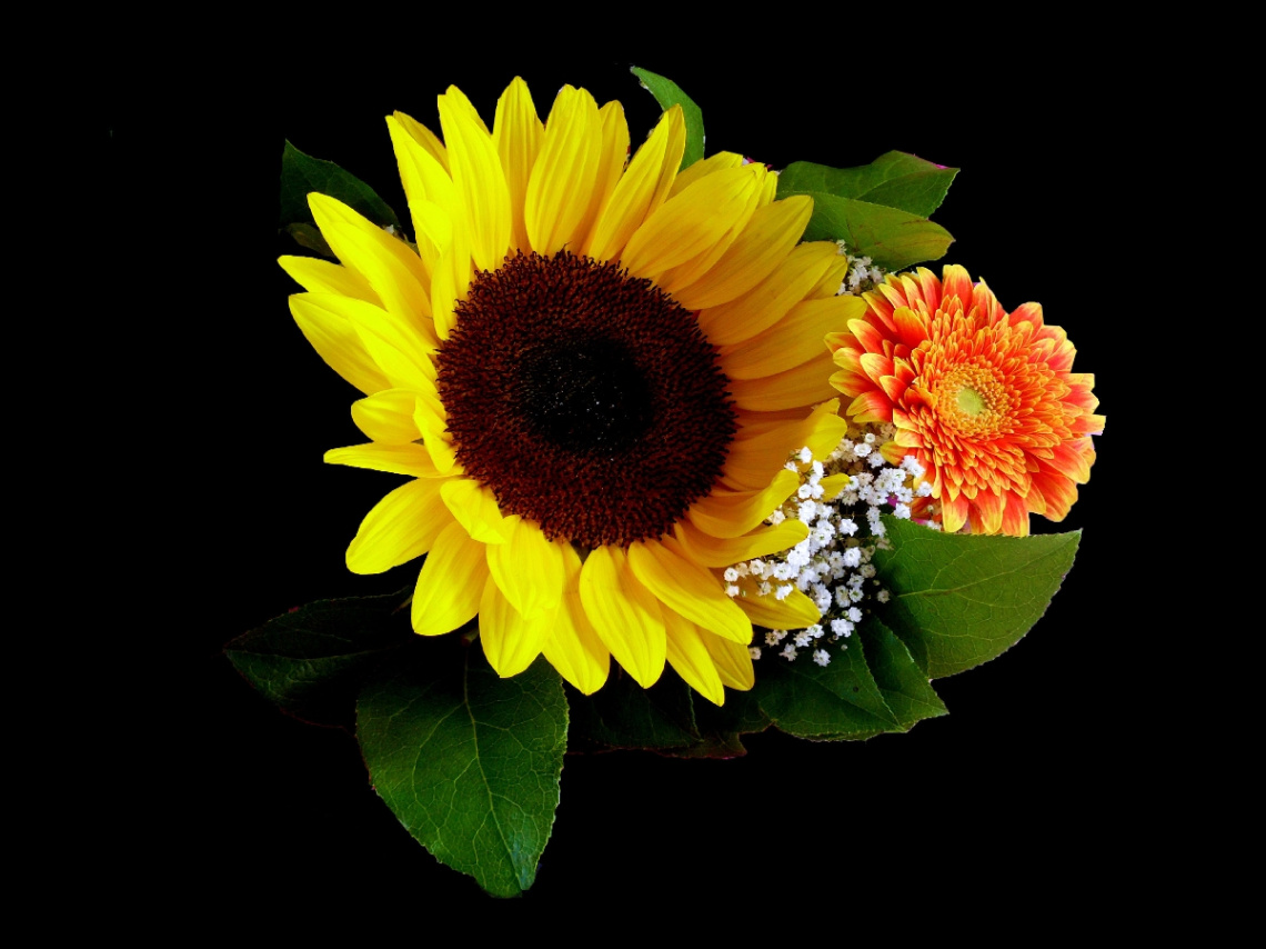 BLÜTEN