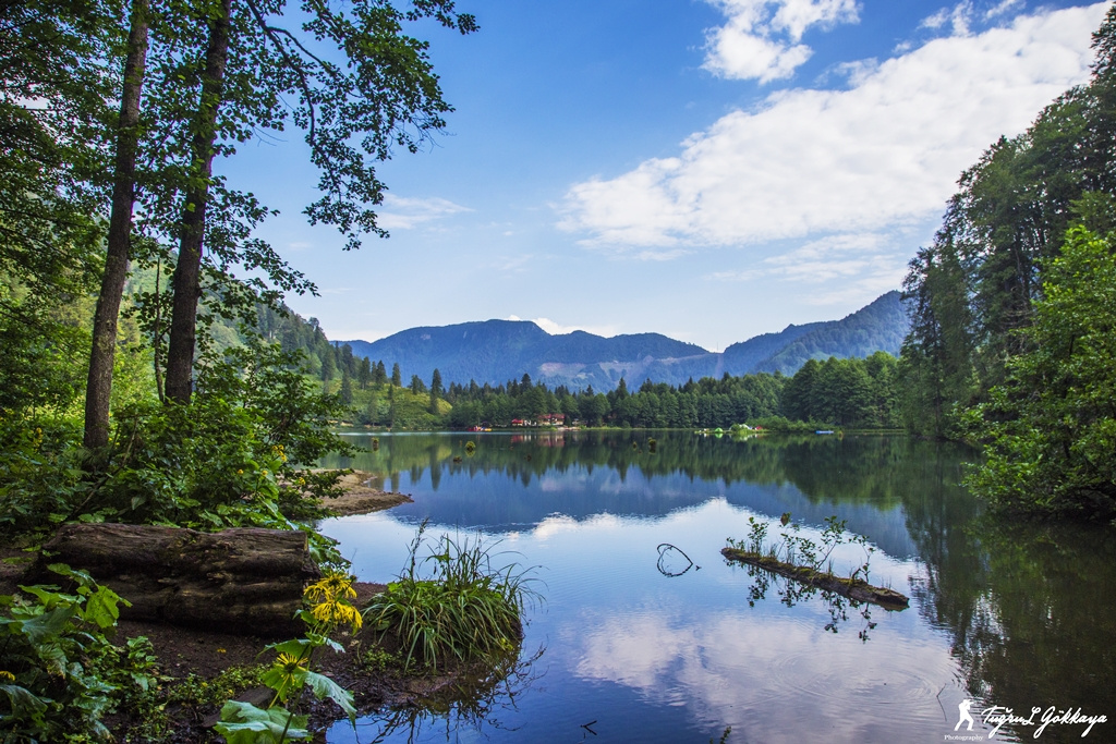 Artvin \ Borçka \ Karagöl