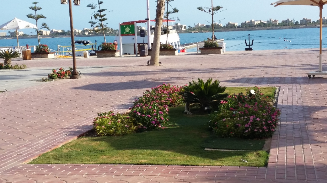 Egypt - North coast - Porto Marina