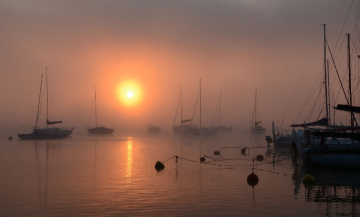 Fog over the Nysa Lake, Polonya