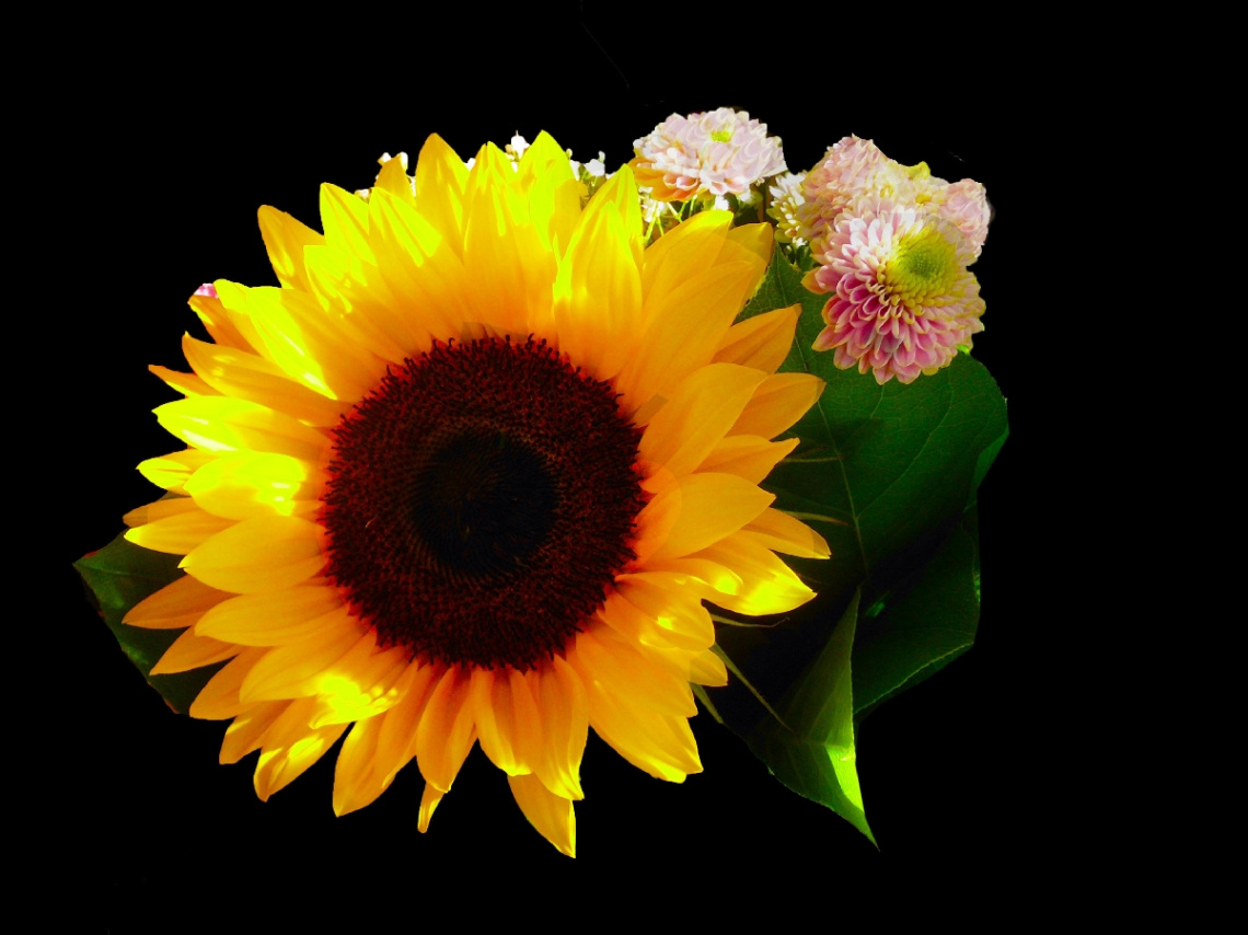 BLÜTEN