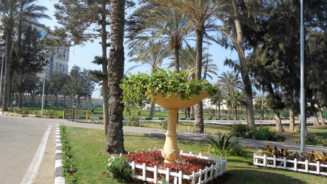 Egypt  - Alexandria