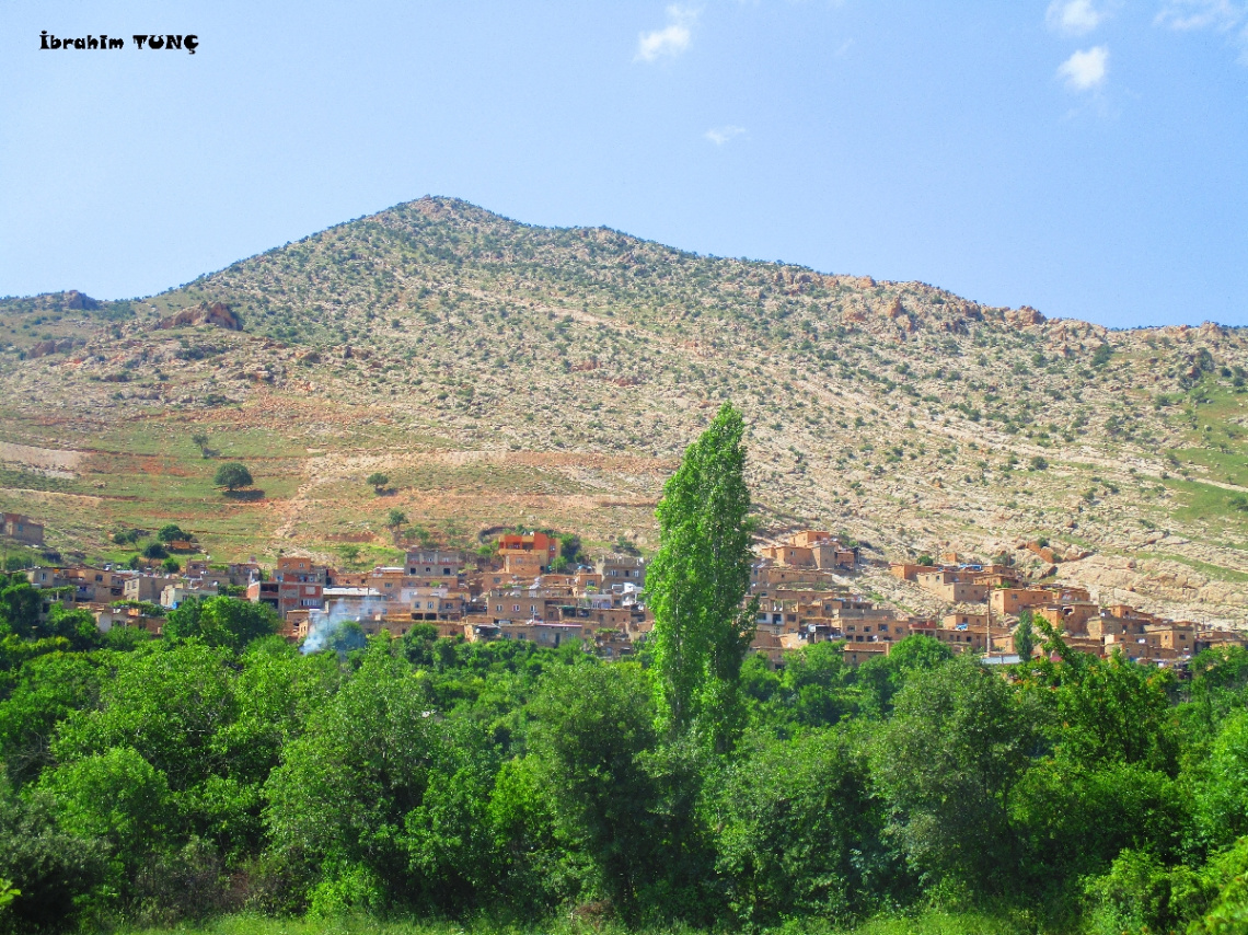 Bağgöze (Ayne) Köyü / SİİRT - ERUH