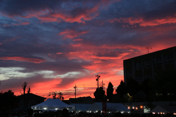 Pink sky