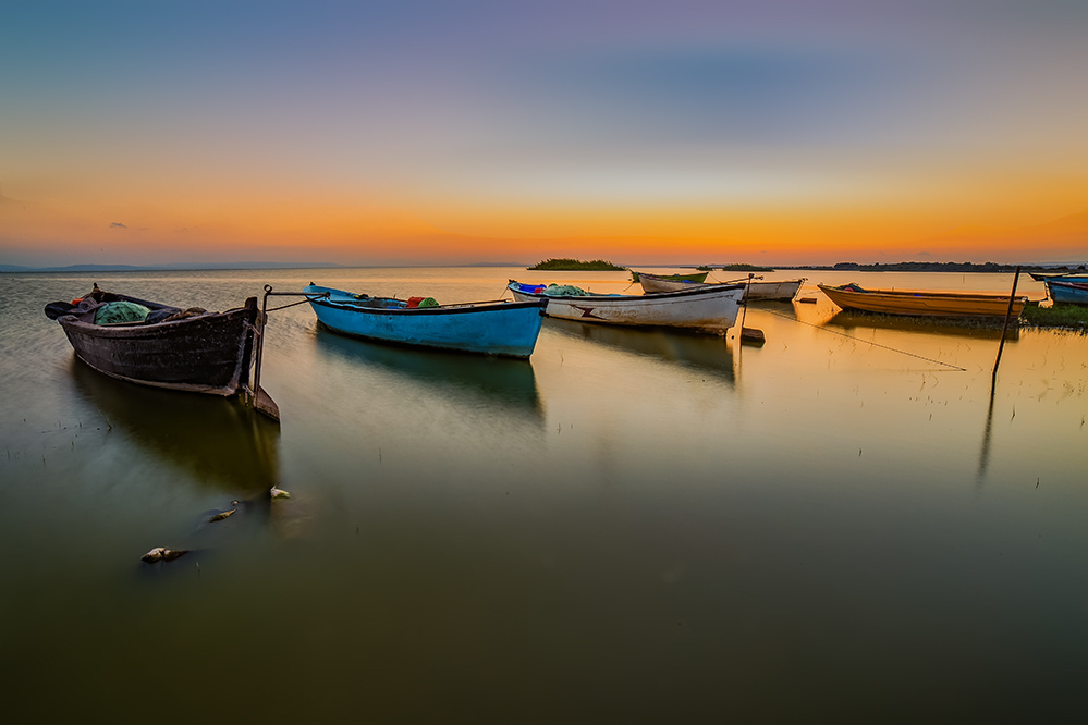 Sandallar 5 - Bandırma Kuş Cenneti