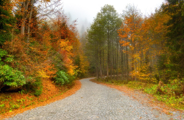 Karagöl/BORÇKA. Ekim 2016