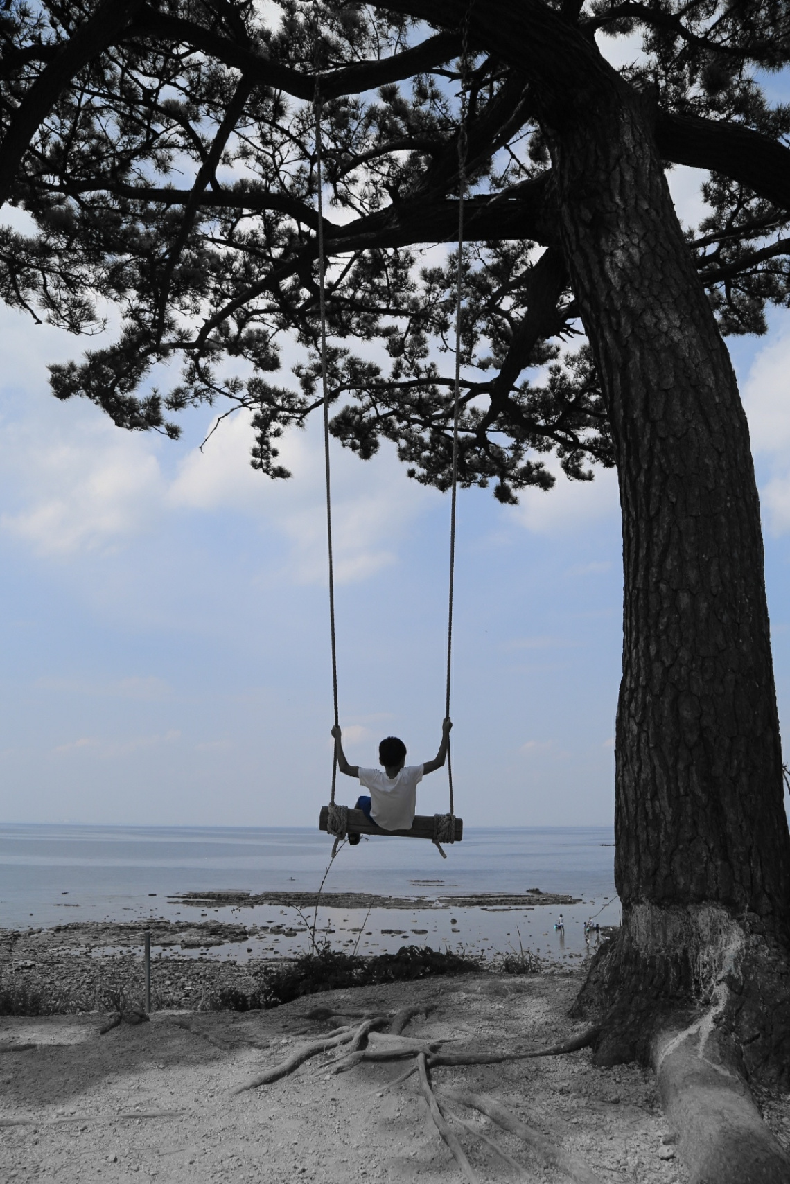 Summer memory
