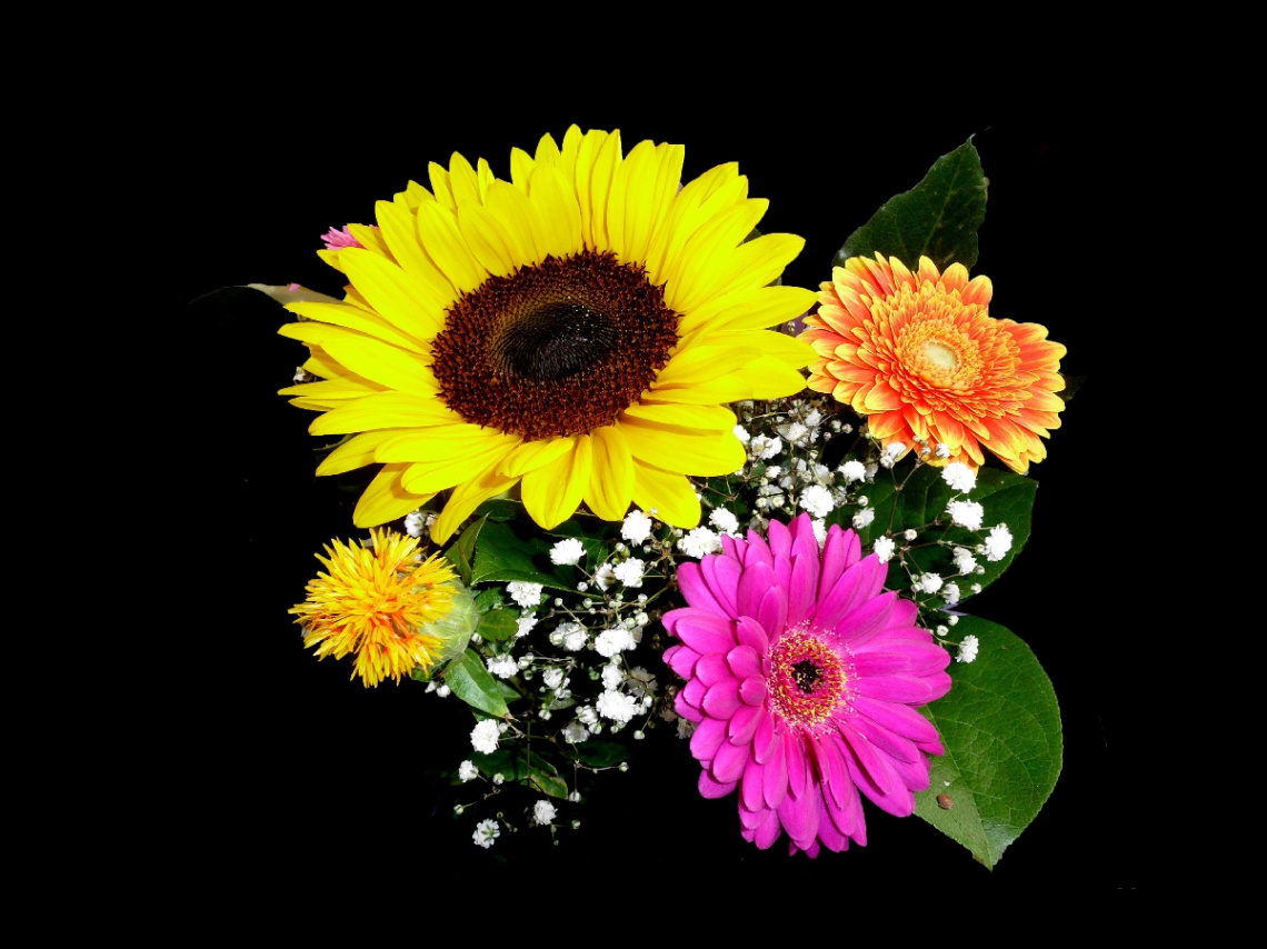 BLÜTEN