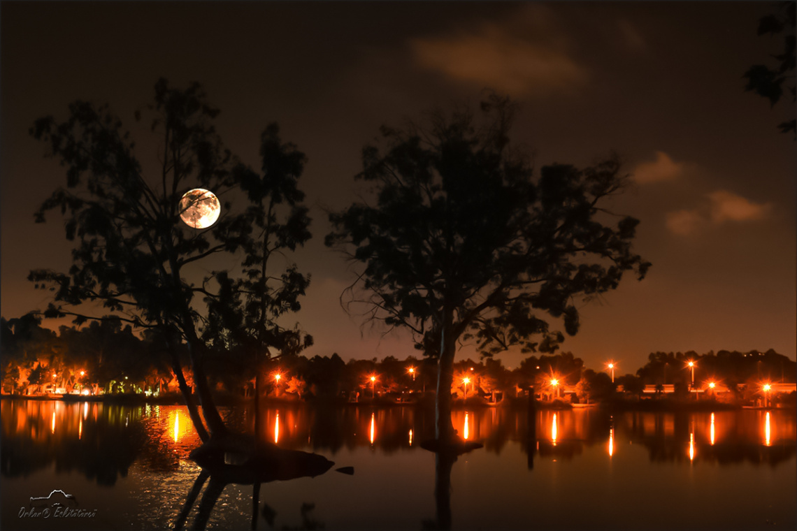 Night Colors