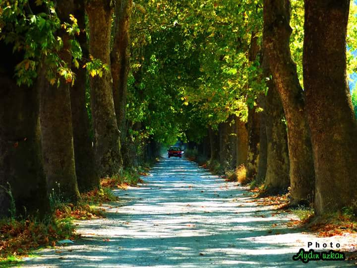 YOL(cuy)UZ HEPİMİZ