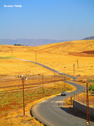 Zik / SİİRT - KURTALAN