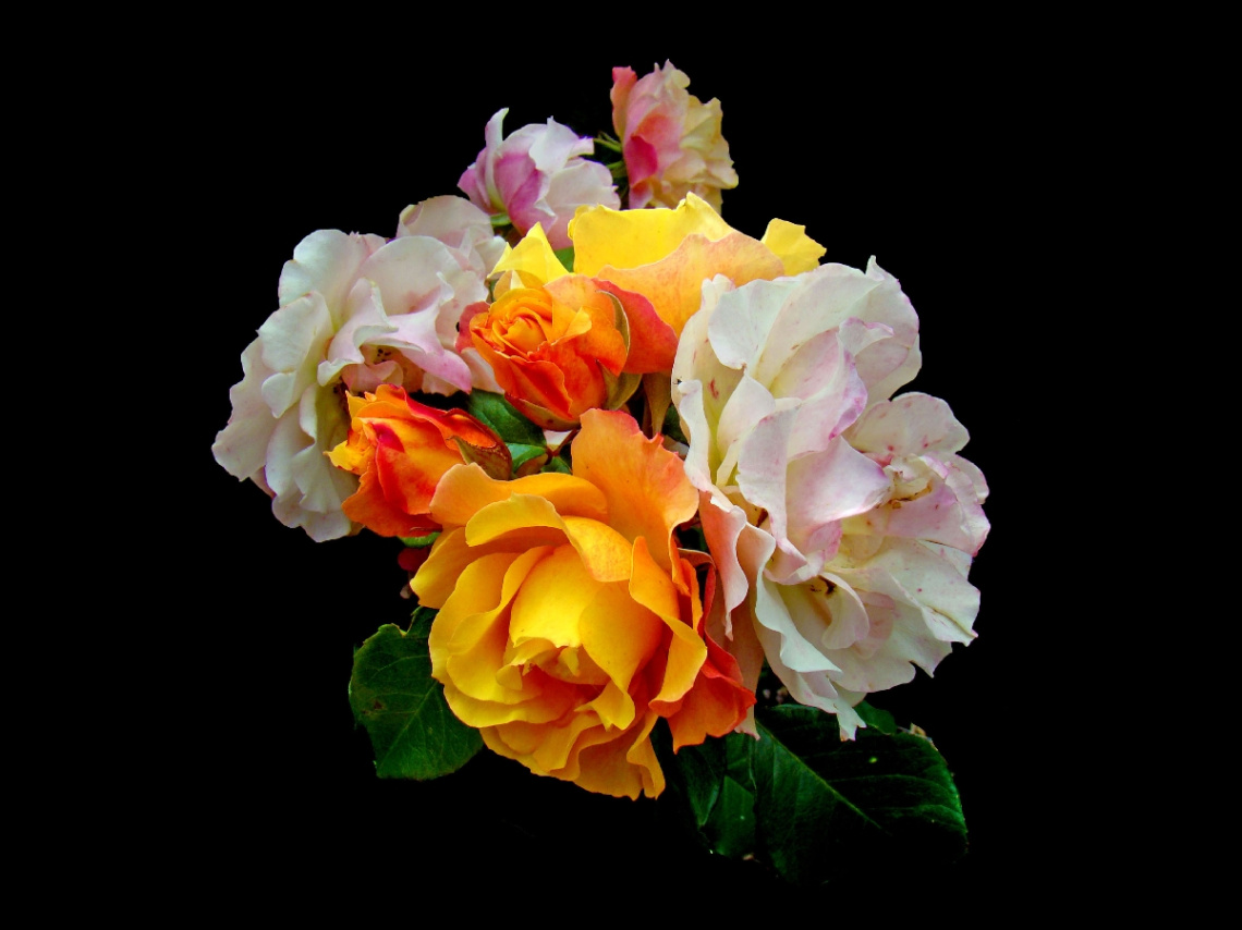 BLÜTEN