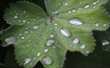 On a rainy day