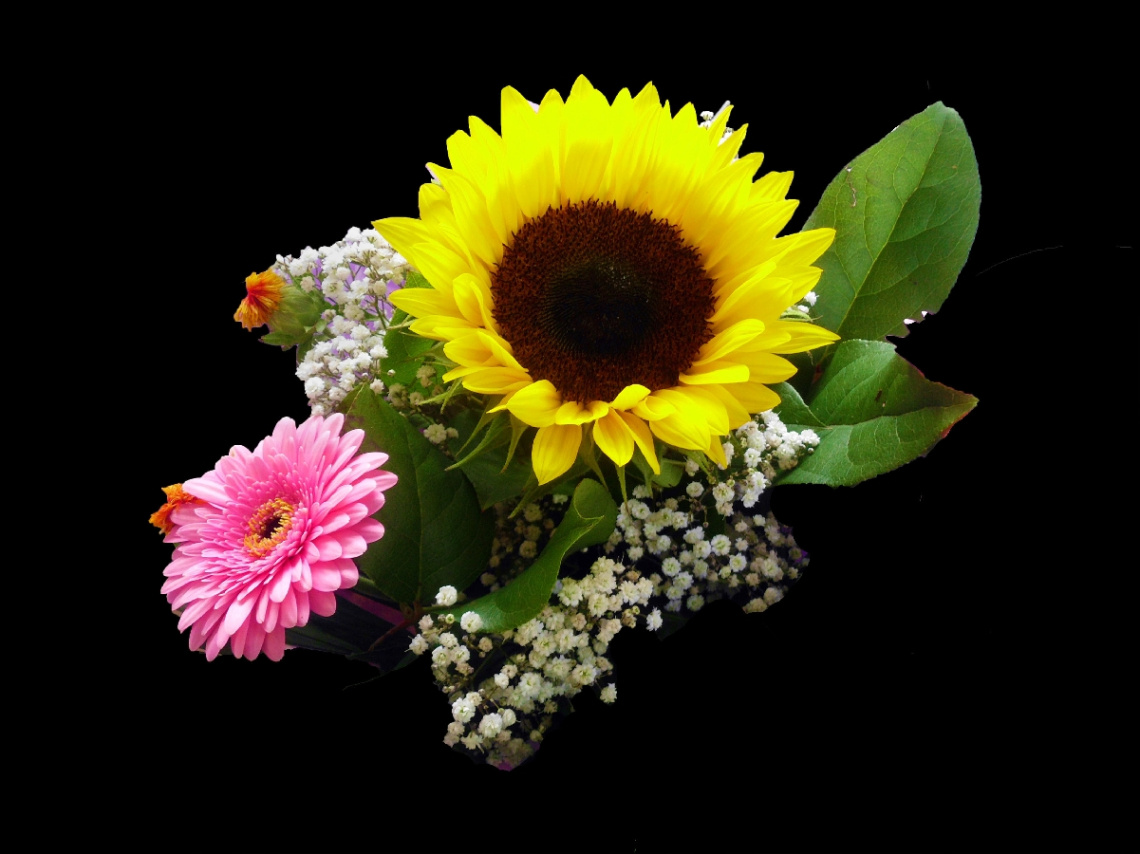 BLÜTEN
