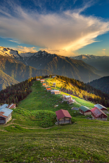 Pokut. Haziran 2017