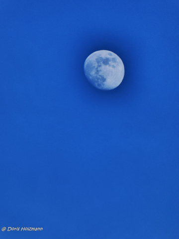 Mond