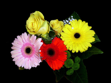 BLÜTEN