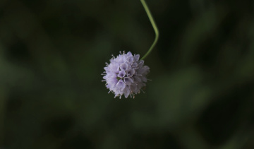 One