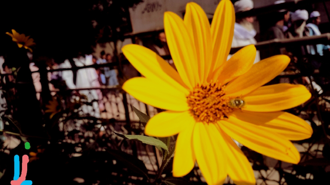 Hello....
