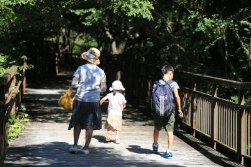 Taking for a walk