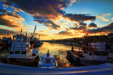 Gene gene Tekirdağ.