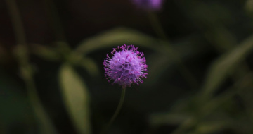 One