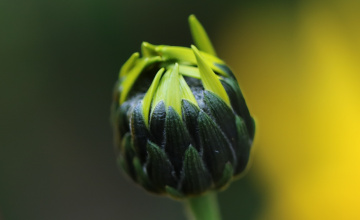 One