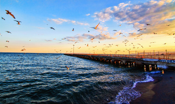 Tekirdağ
