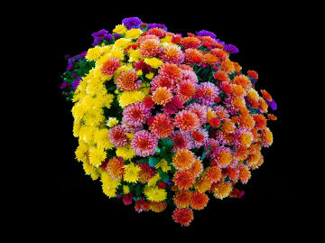 BLÜTEN
