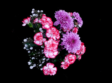 BLÜTEN