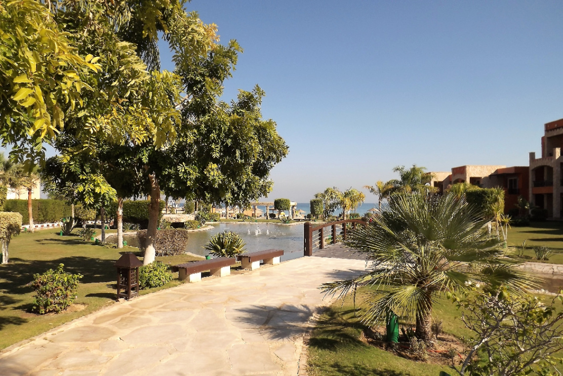 Egypt  - Alain Alsokhna