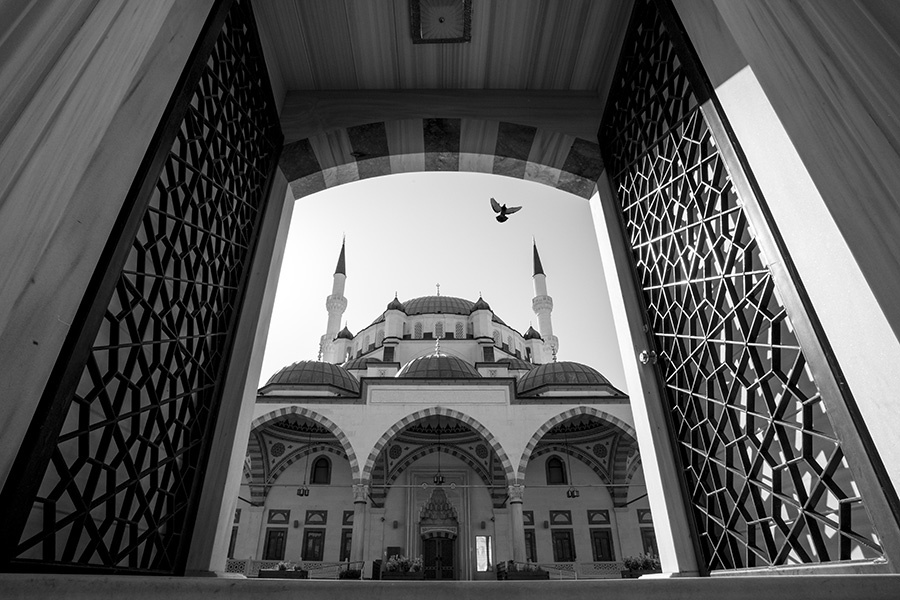 ... ::: Ölüyoruz ::: ... 