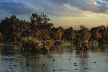 Seyhan River, Bird Habitats