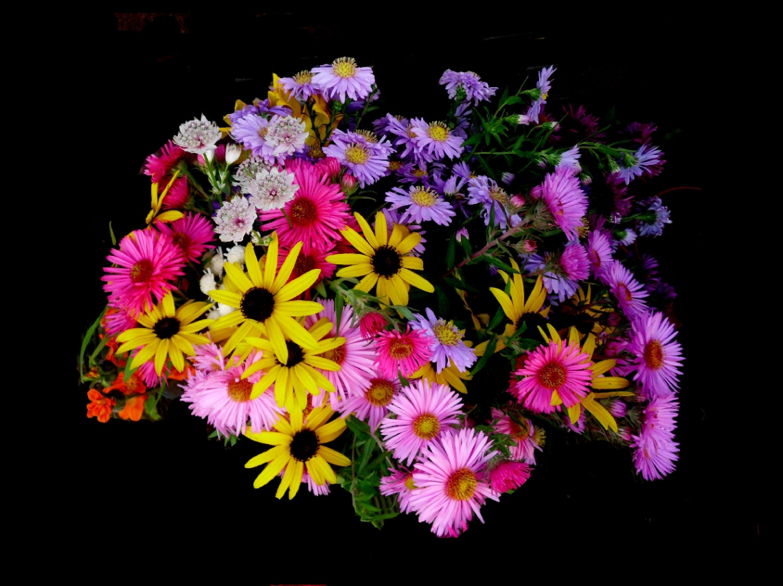 BLÜTEN