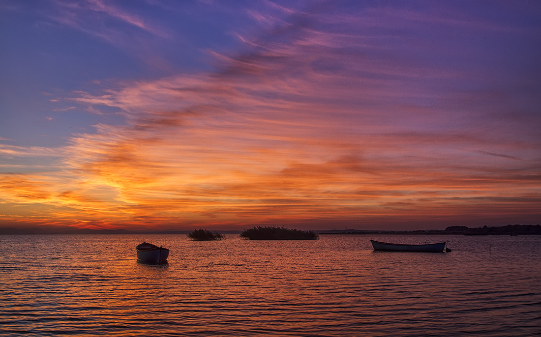 Kuş Cenneti-Bandırma