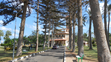 Egypt  - Alexandria - Almontazah palace 