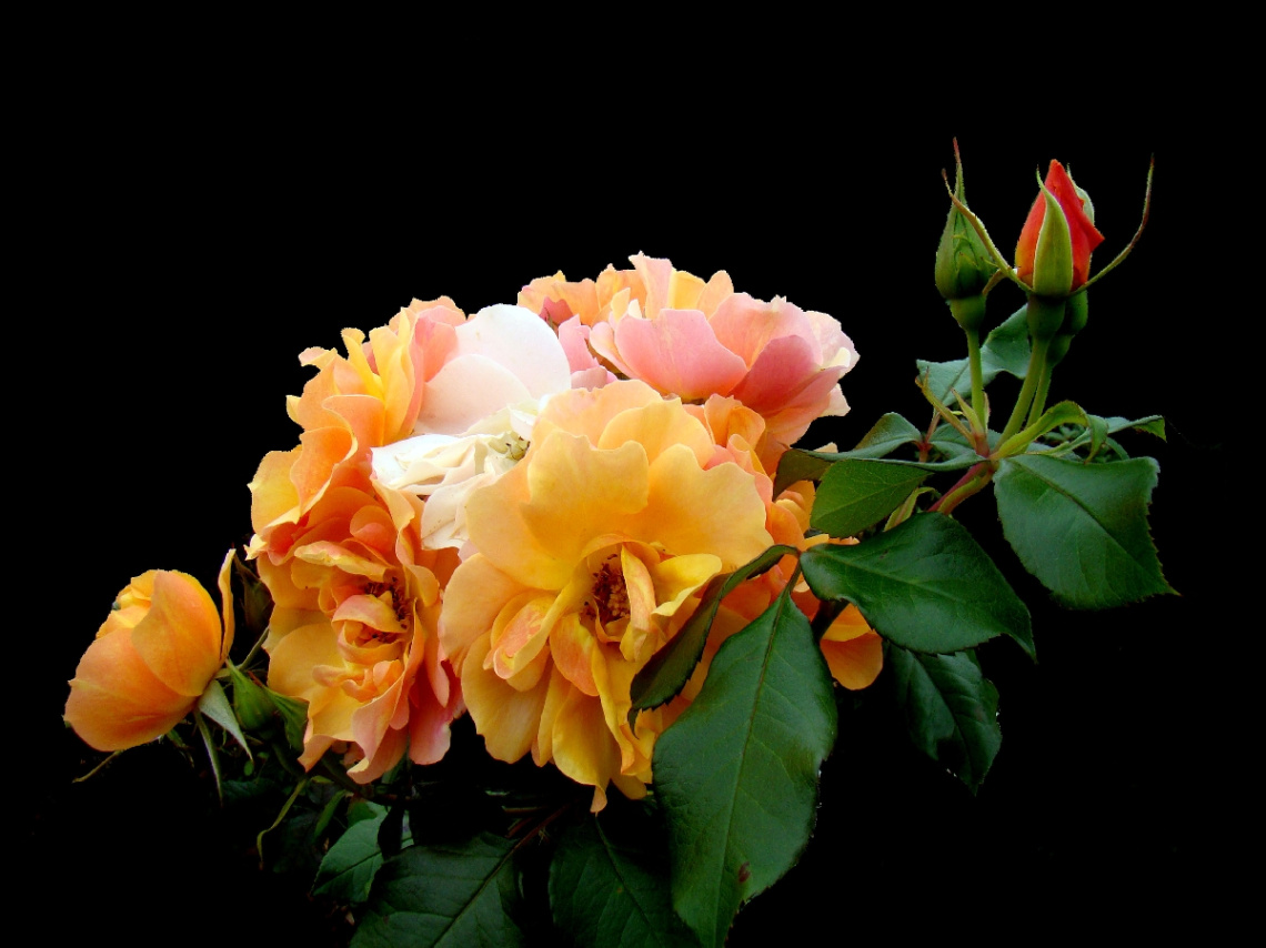BLÜTEN