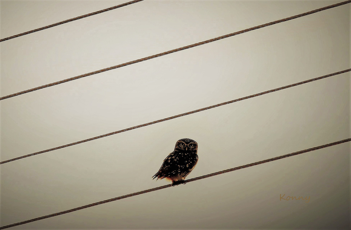 meeting in the sunrise