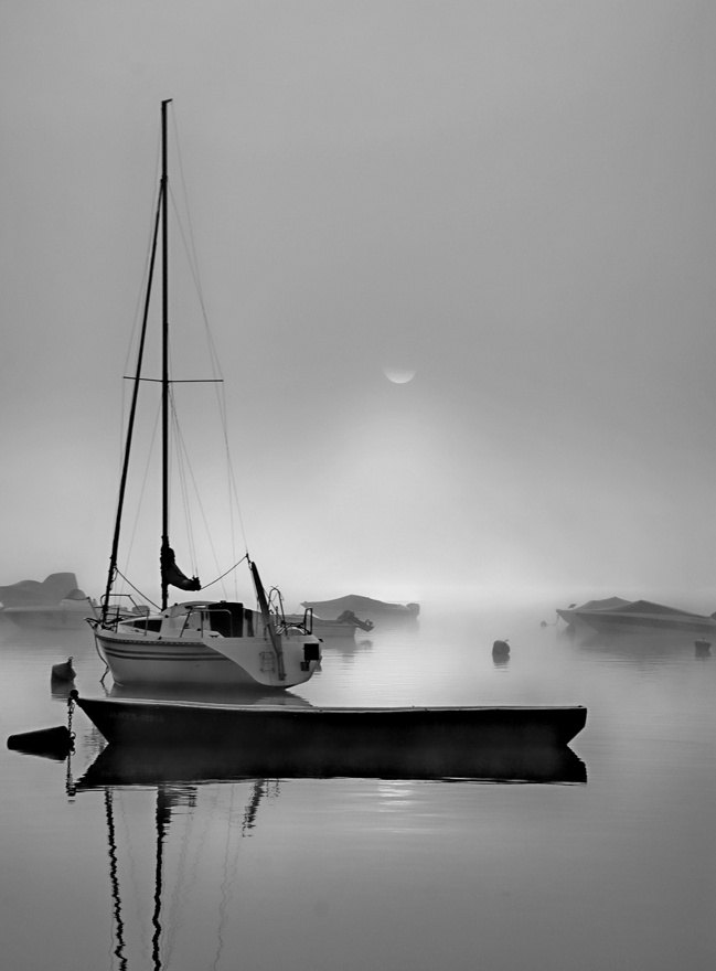 ... morning B&W
