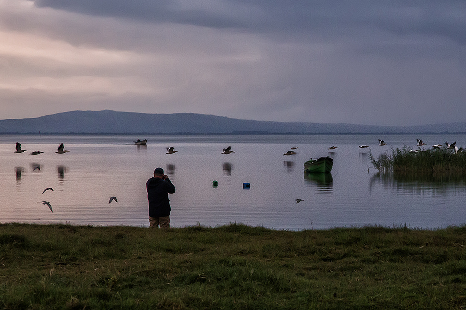 Bandırma Kuş Cenneti