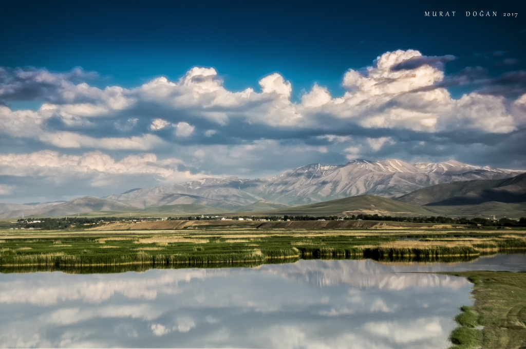 Doğa