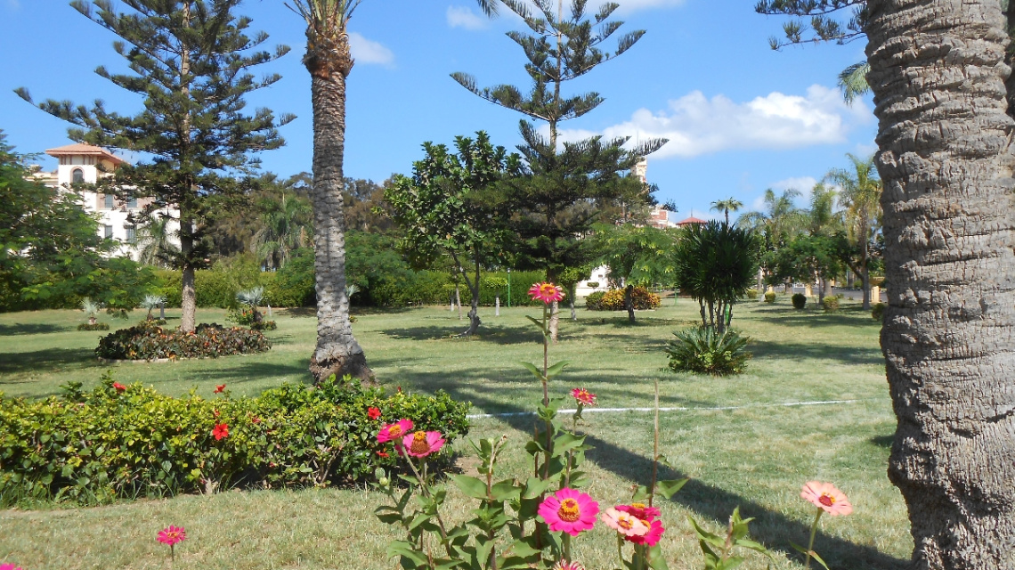 Egypt  - Alexandria - Almontazah 